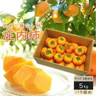 柿 かき 庄内柿 種なし 5kg前後 バラ詰め 庄内 訳あり 柿 かき カキ 種なし 種無し柿 産直 山形 フルーツ…