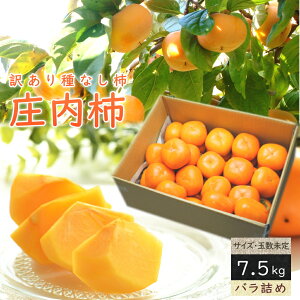 `  ` Ȃ 7.5kgO ol  󂠂 `  JL Ȃ 햳` Y R` t[c ʕ ӂ[   n Yi Yi