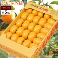 柿 かき 庄内柿 種なし約5kg　サイズ未定（25-40玉前後）庄内 訳あり 柿 かき カキ 種なし 種無し柿 産直…