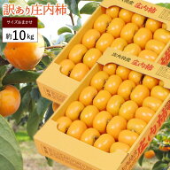 柿 かき 庄内柿 種なし 約10kg（5kg×2箱）庄内 訳あり 柿 かき カキ 種なし 種無し柿 産直 山形 フルー…
