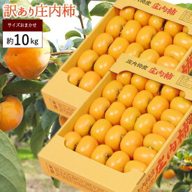 柿 かき 庄内柿 種なし 約10kg（5kg×2箱）庄内 訳あり 柿 かき カキ 種なし 種無し柿 産直 山形 フルーツ 果物 ふるーつ くだもの お取り寄せ ご当地 名産品 特産品