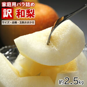  a t[c R` 2.5kgO 5-12ʑO Ȃ iV ʌ 󂠂 ƒp i킨܂ TCY ܂  p ƒp 