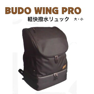 @h܁@h@BUDO@WING@ybN