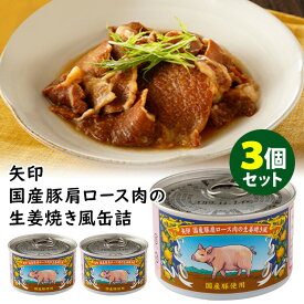 3個セット 矢印 国産豚肩ロース肉の生姜焼き風 アールシーフードパック 缶詰【レシピ動画有】【食品A】【TCP】【DM】【海外×】