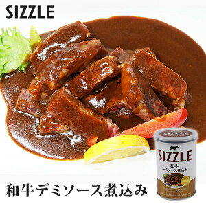 Pi ʃfBi[ af~\[Xύ 230g SIZZLE ʋl Â ʋl  ܂  lC n  퉷 ̂܂ܐHׂ v[g Mtg ȒP AEghA  