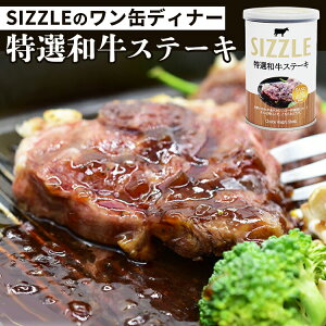 Pi ʃfBi[ IaXe[L SIZZLE ʋl Â ʋl   lC n 퉷 ̂܂ܐHׂ ȒP AEghA  ʂ y O ȂyVszyH