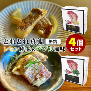 4ʃZbg ƂƂ^ EoW ƂƂsIl mr.kanso ʋl Â lC n yY  v[g Mtg  蕨^C  CN myVs