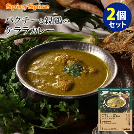 【賞味期限間近】2個セット 岡山県産パクチーと国産親鶏のケララカレー （200g×2） パイシーパイス チキン レトルトカレー 【賞味期限4月・食品ロス】【メール便可】【食品A】【DM】【海外×】