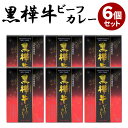 【300円OFFクーポン】6個セット 黒樺牛ビーフカレー オリジナル 化粧箱くろはなぎゅう 杉本本店 レトルトカレー お取り寄せ 人気 ご当地 お土産 プレゼント ギフト 熨斗 のし 対応可 贈答【送料無料】【のし対応可】【食品A】【DM】【ST】【海外×】