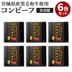 6ʃZbg {錧YјaRr[t Ӟ ha ʋl Â lC n  퉷 ~p H Zbg l  yY 蕨yVszy[֑zyHiA