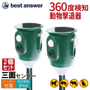 y84Vzy360xL͈͊mzyxXgAT[z 2Zbg ǔL ފ L悯 L g ZT[ ΍   \[[ USB[d Qb 쏜 h zpl hH  