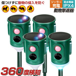 _2420`P5{^y84Vzy360xL͈͊mzyxXgAT[z 4Zbg ǔL ފ L悯 L g ZT[ ΍   \[[ USB[d Qb 쏜 h zpl