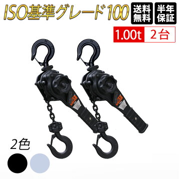 楽天市場】【バイタル工業】ナイスレバー 1.6t用 レバーチェーン 