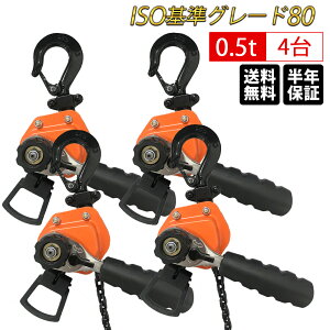 作業用品 0 5t レバーブロックの人気商品 通販 価格比較 価格 Com 作業用品 0 5t レバーブロックの人気商品 通販 価格比較 価格 Com