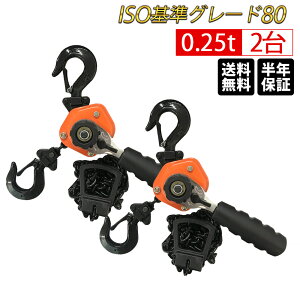 作業用品 250kg チェーンブロックの人気商品 通販 価格比較 価格 Com