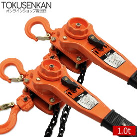 レバーホイスト 1t 2台 1ton 1トン 1.0t 1000kg チェーン ローラー チェーンブロック レバー式ブロック レバー 荷締機 ブロック ガッチャ がっちゃ 滑車 ホイスト チェーン ホイスト 固定 工具