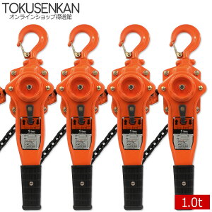作業用品 1t レバーブロックの人気商品 通販 価格比較 価格 Com