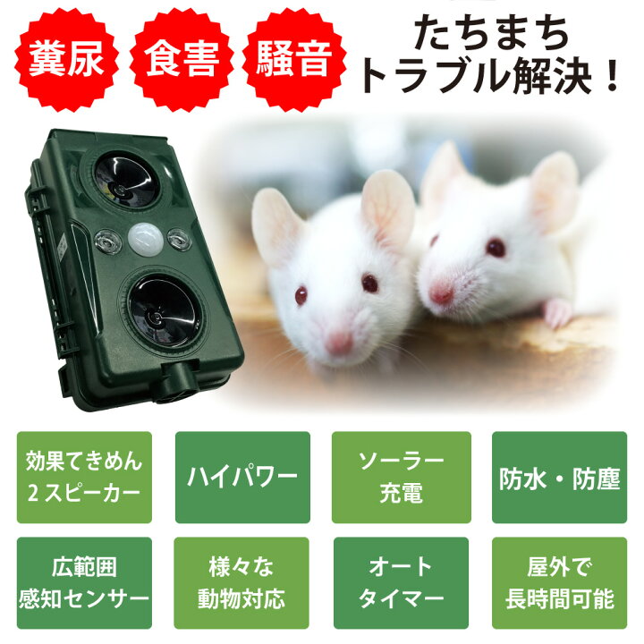 楽天市場】動物撃退器 猫よけ 超音波 1個単品 ダブルスピーカー ソーラー充電式 超音波撃退機 USB充電 猫除け 猫避け ソーラーパネル センサー  アニマルガーディアン 害獣 野良猫 対策 カラス 半年保証 強力 : 得選館