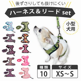 【在庫処分】ハーネス タイプ リード 小型犬用 首輪 リードセット 犬 リード セット 中型犬 大型犬 おしゃれ 可愛い ブランド 痛くない 猫 かわいい