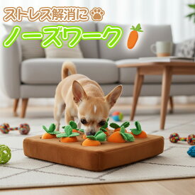 ノーズワーク にんじん 犬 おもちゃ マット ノーズワークマット ペット おもちゃ ペット用品 知育玩具 訓練 用品 嗅覚 トレーニング 犬 知育 噛むおもちゃ ストレス解消 人参 苺 ぬいぐるみ