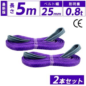 �yP2�{ �}���\������z�X�����O�x���g 25mm 5m 2�{�Z�b�g �i�C���� ����5m ��25mm �g�p�׏d800kg �x�X�g�A���T�[ �X�����O �x���g �x���g�X�����O �ʊ| �ʊ|�� �ʊ|���X�����O �ݏグ �i�C�����X��