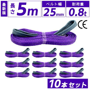 �yP2�{ �}���\������z�X�����O�x���g 25mm 5m 10�{�Z�b�g �i�C���� ����5m ��25mm �g�p�׏d800kg �X�����O �x���g �x���g�X�����O �ʊ| �ʊ|�� �ʊ|���X�����O �ݏグ �i�C�����X�����O �x���g�X