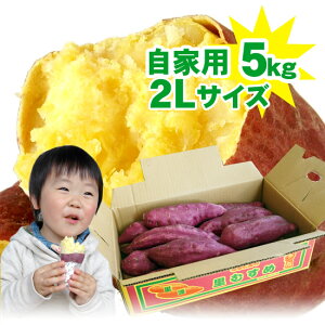  ȂƋ gbvuh ނ 2L Ɨp 5kgisYY ȂƋ܂j