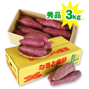  ȂƋ 3kg Gi  M܂LTCYł͂iY܈jMtg   l Ε/hV̓/䌩/c䌩/