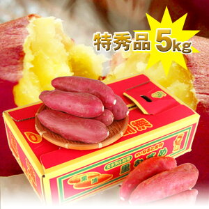  ŏ㋉NGi ȂƋgbvuh ނ 5kg  lCM܂LTCYIׂ܂isYYjΕ/hV̓/䌩/c䌩//