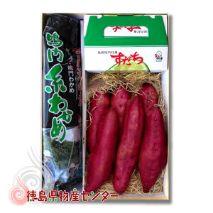  ̖YMtg2(ȂƋ܂킩)/i//Ε/hV̓/䌩/c䌩/䒆/