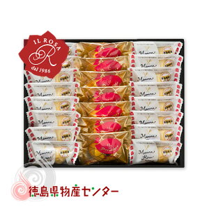  |ebg}}[ŰlPM-4(mَqNu C[U) l   Ε j o  Mtg