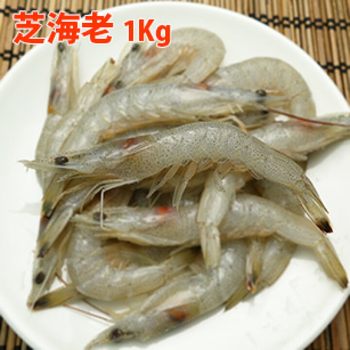 楽天市場 芝海老 １ｋｇ １４０尾程 特正