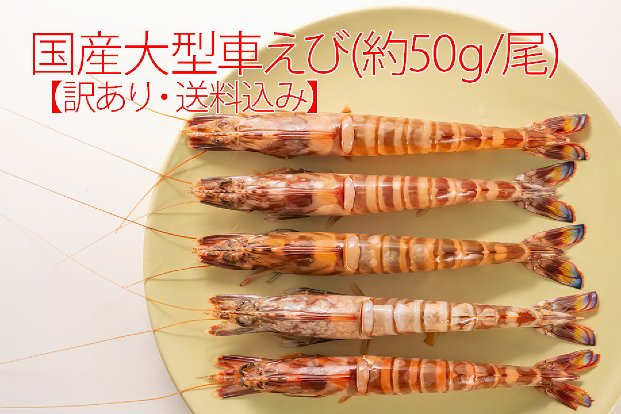 国産大型車海老