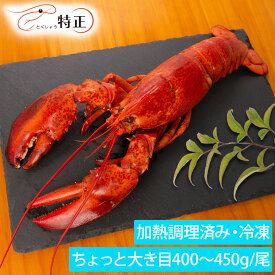 ボイルオマール海老一尾 400〜450g
