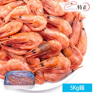 殻つきボイル甘えび　船上海水ボイル冷凍品 5Kg