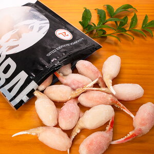 {C킢ɊI({) 2L 500gpbN(21`25ܓ)