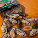 パーナ貝(グリーンシェルマッセル) 片貝26〜50粒入り 1Kg