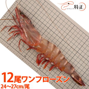 W{LV[^CK[CV 24`27cm/ 12 t[Y 傦 o[xL[ GrtC VRGr