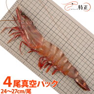 ジャンボ有頭シータイガー海老 24〜27cm/尾程 4尾真空パック 特大えび バーベキュー エビフライ 天然エビ