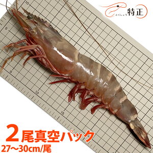 X[p[EW{LV[^CK[CV 2^pbN 27`30cm/ Mp DCV ^ o[xL[ GrtC VRGr