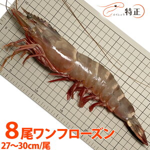 yzX[p[EW{LV[^CK[CV 27`30cm/ 8 t[Y 傦 o[xL[ GrtC VRGr