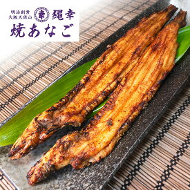 焼あなご2尾（約160g）。あなご専門店だからできる焼き加減と、店秘伝のたれ。