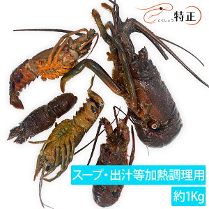 X[v^o`pYɐCV 1Kg uCx[X,pGA,V[t[h,]bg,X`,spiny lobster,uX^[,