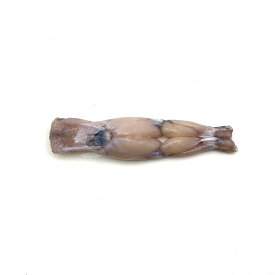 台湾産フロッグレッグ（カエル脚） Mサイズ 1ピース