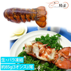 nCvbV[ I}[ e[  85gi3IXj