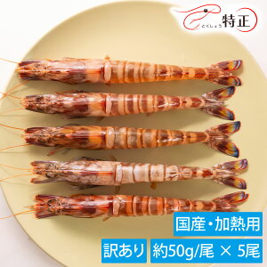 y󂠂zY^Ԃ(50g/) YⓀCV Mp 5 v250g gɃLYLEEF̊CVIсAⓀ܂