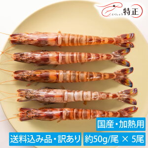 y󂠂E݁zY^Ԃ(50g/) YⓀCV Mp 5 v250g gɃLYLEEF̊CVIсAⓀ܂