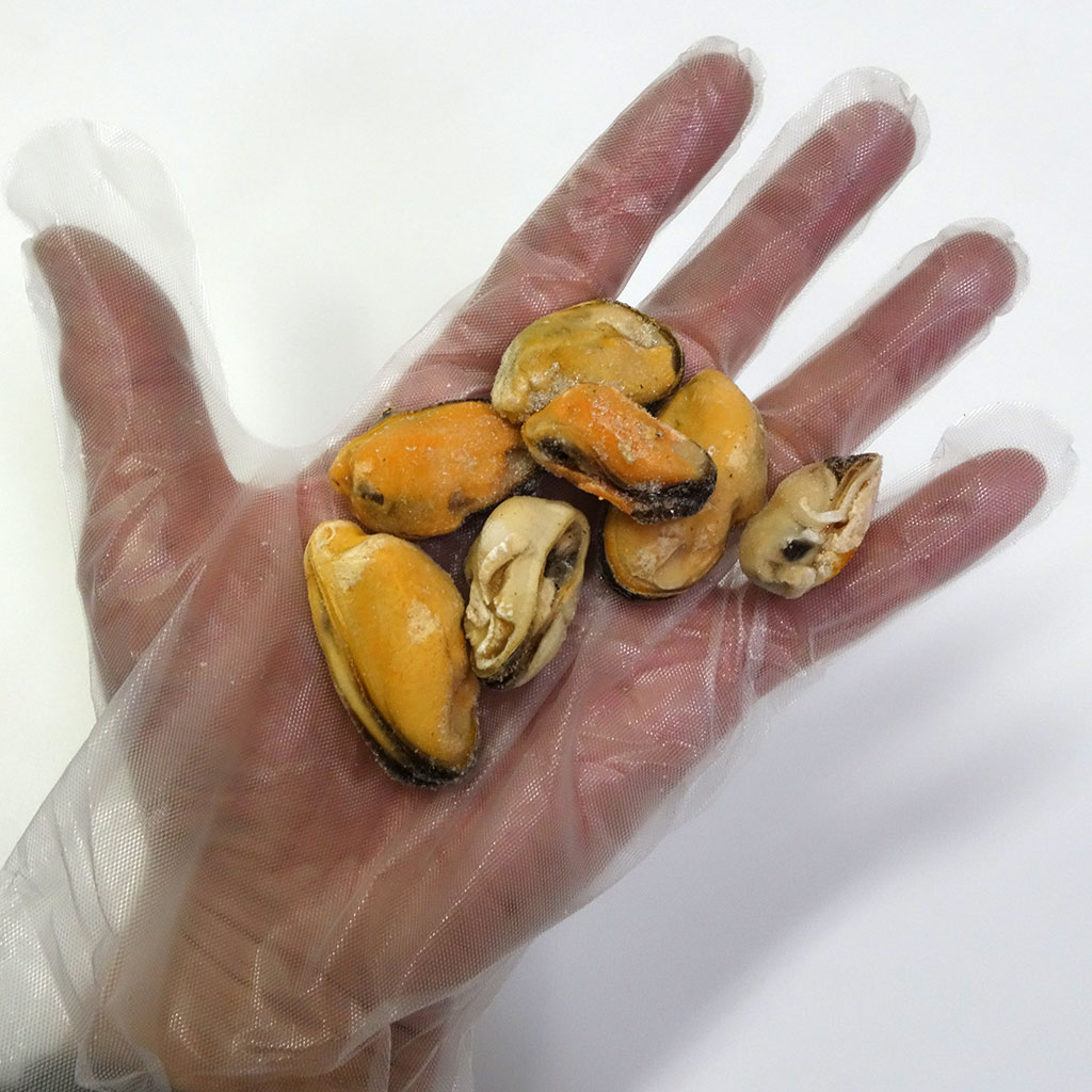ボイルムール貝 チリ産 1kg バラ凍結 ムール貝