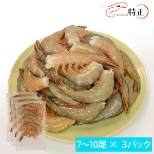 �V�R�E���Y���E�����z���C�g�G�r ��25g/�� ��8��×3�p�b�N �������Ⓚ�i