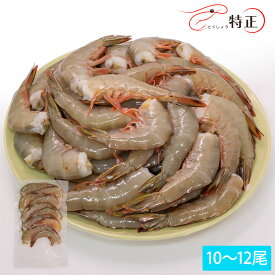 天然・無添加・無頭ホワイトエビ 約20g/尾 10〜12尾 小分け冷凍品